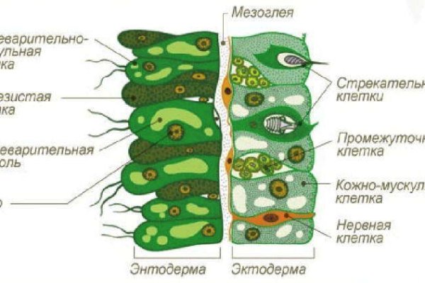 Кракен зеркала krk store com